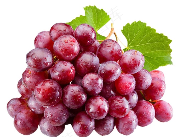 葡萄 红提图片
