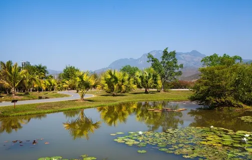 西双版纳热带植物园图片