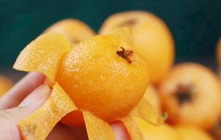 枇杷图片