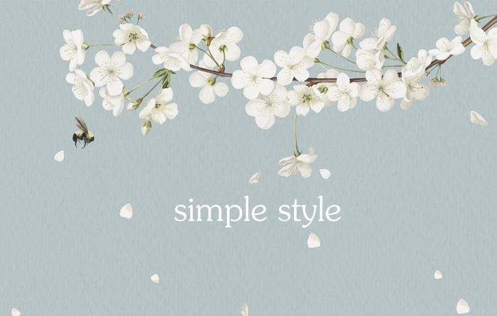 首页 海报 花图片