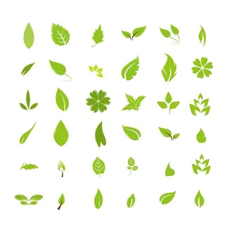 树叶 可修改图片