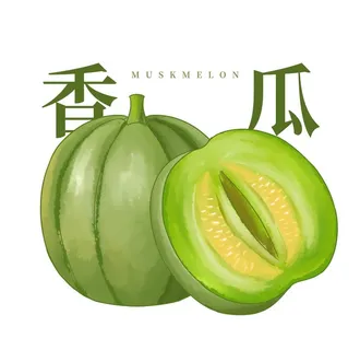 手绘水果甜瓜香瓜图片