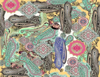 腰果图片 腰果图片