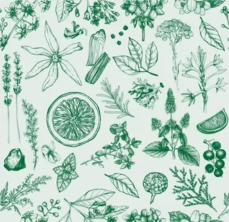 花草树叶矢量图图片