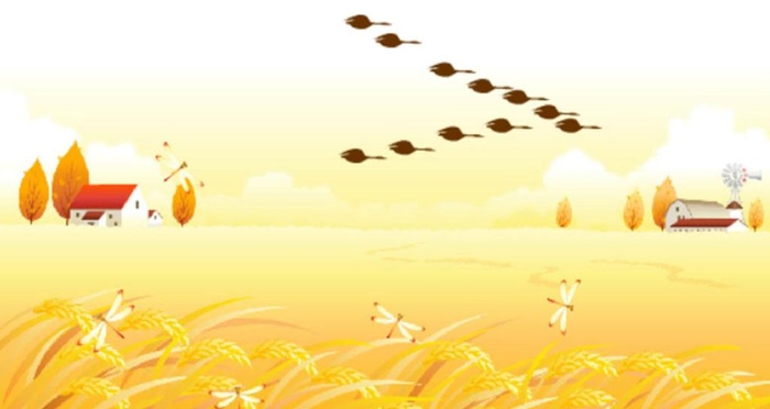 大雁南飞
            
动态预览图