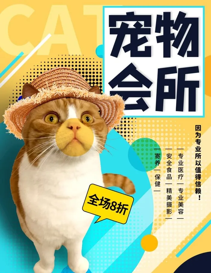 宠物海报 图片(3543x4725)psd模版下载