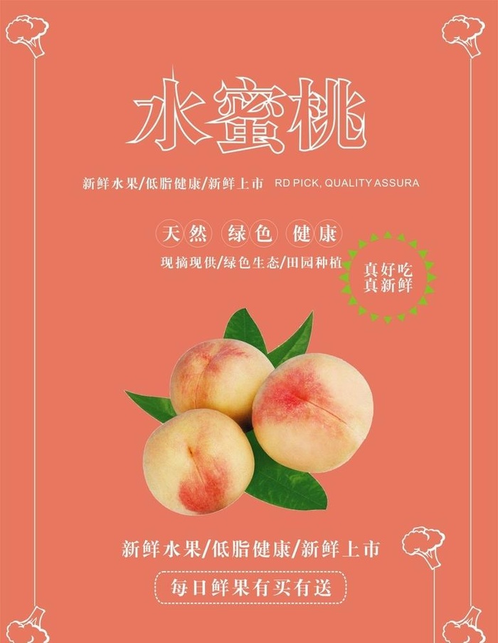 水蜜桃海报图片cdr矢量模版下载