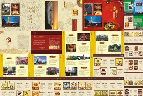 大气中国风餐饮美食画册设计