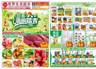 清明节踏青DM单图片