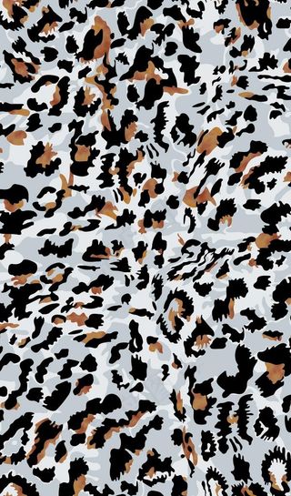 豹纹 大牌 数码印图片