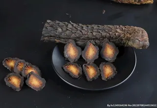 阿拉善肉苁蓉 大芸 图片