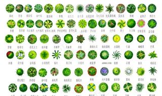 景观平面图素材图片