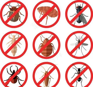 杀虫图片