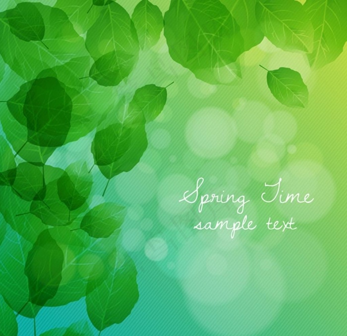 光晕绿叶背景图片