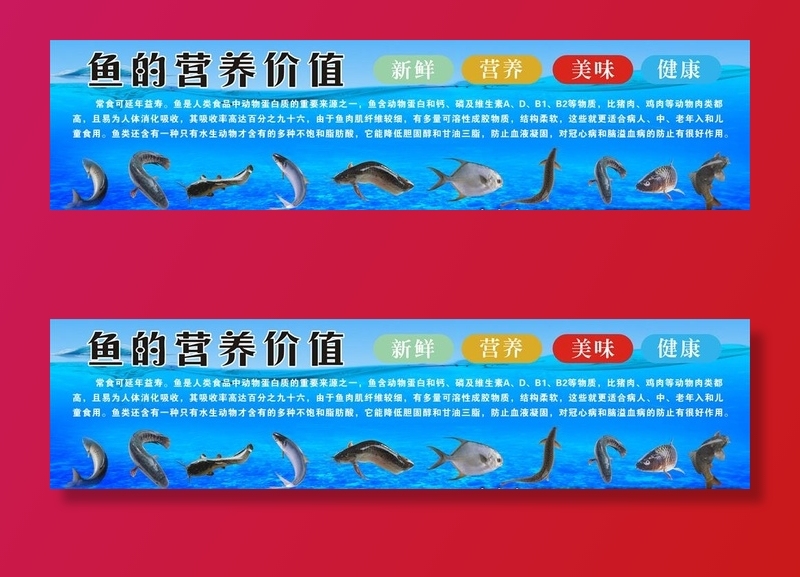 鱼的营养价值图片cdr矢量模版下载