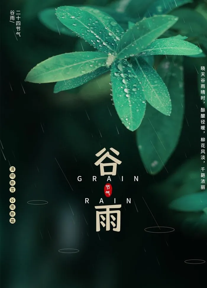 谷雨图片psd模版下载