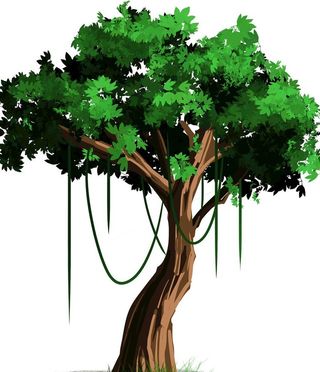大树图片