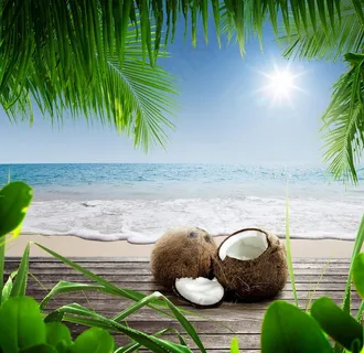 椰子图片 椰子图片