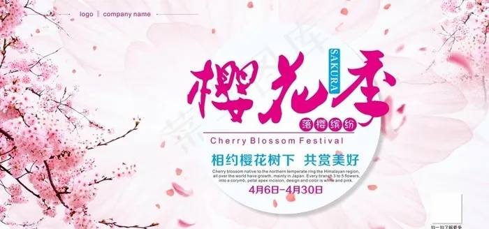 纯色 樱花背景 粉色背景 大气图片cdr矢量模版下载