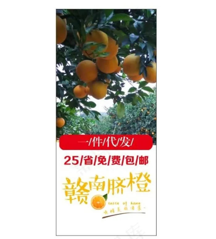 赣南脐橙 展架 海报图片cdr矢量模版下载