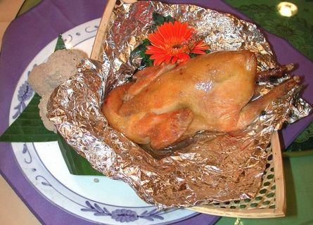 鸡图片