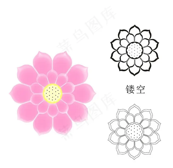 莲花图片