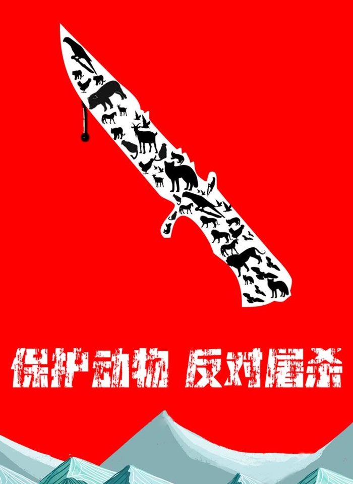 保护动物图片(842x1191)psd模版下载