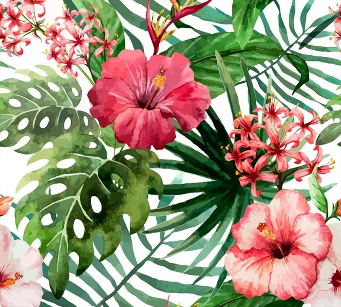 红色朱槿花矢量图片