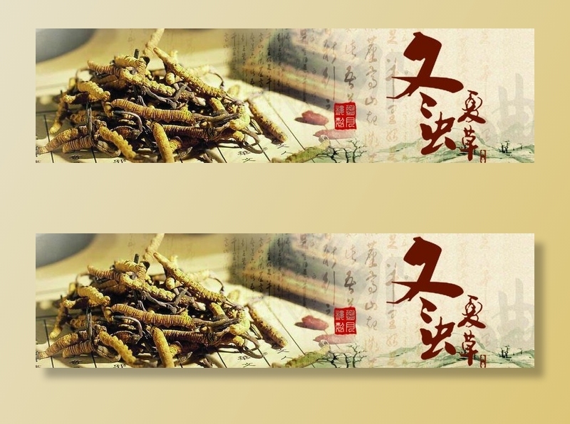 冬虫夏草图片(950x280)psd模版下载