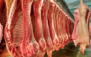 肉类加工车间图片