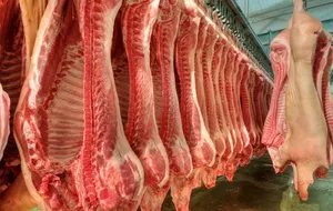 肉类加工车间图片