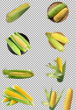 新鲜软糯玉米图片