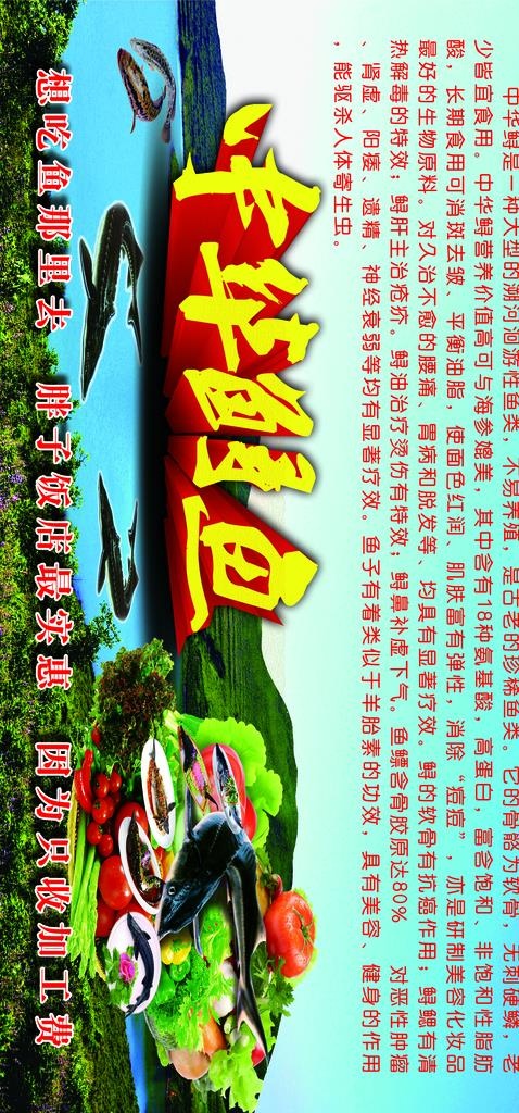 中华鲟鱼图片