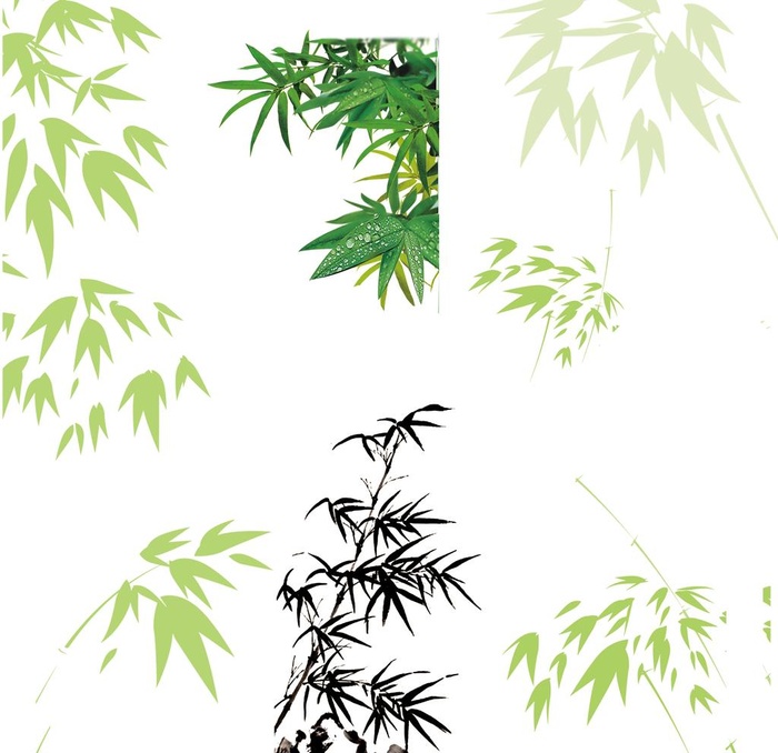 竹叶图片