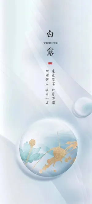 白露图片