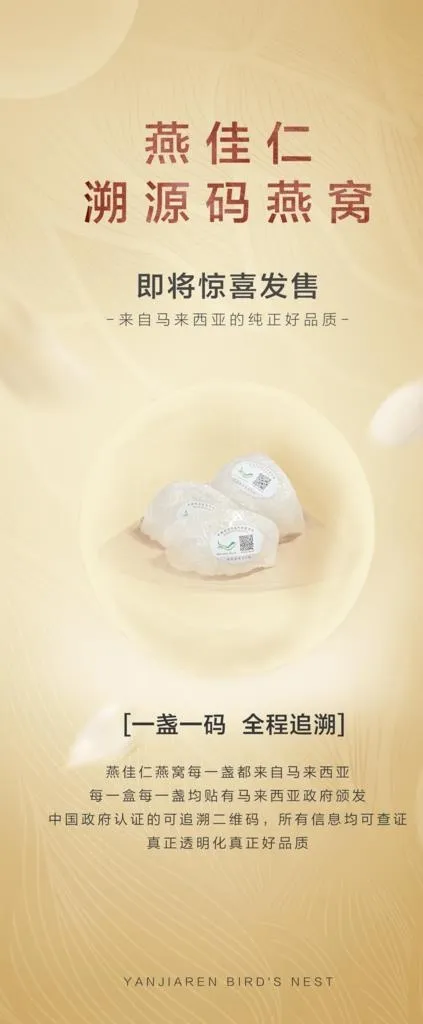 燕窝易拉宝图片psd模版下载