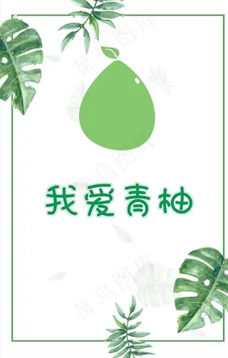 我爱青柚图片