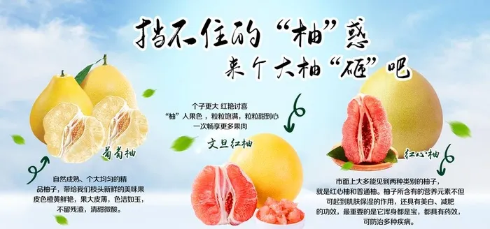 柚子展板图片(9449x4724)psd模版下载