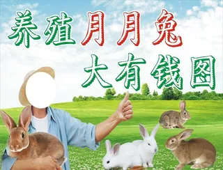 养兔专业合作社图片