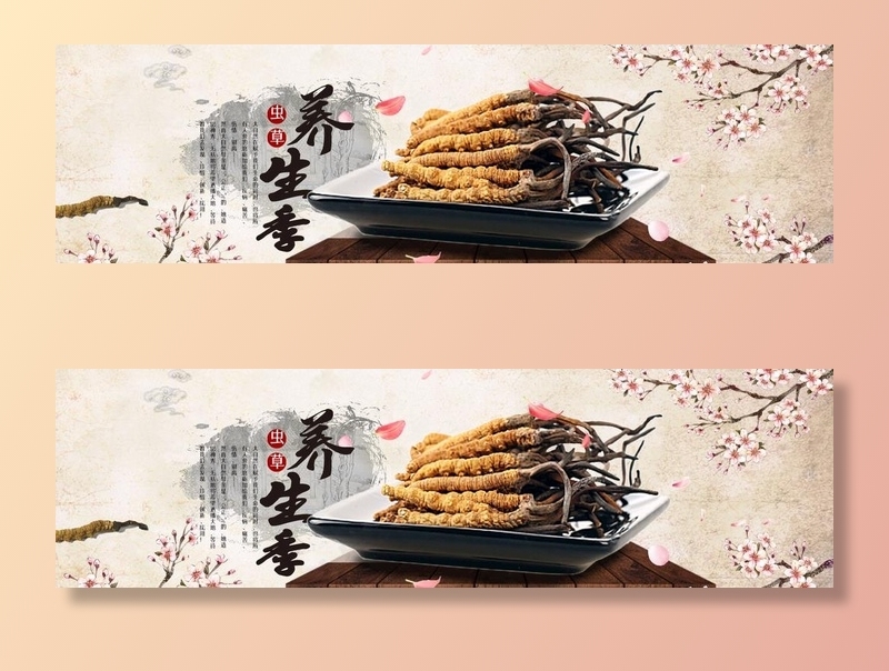 中国风淘宝冬虫夏草海报图片(1920x600)psd模版下载