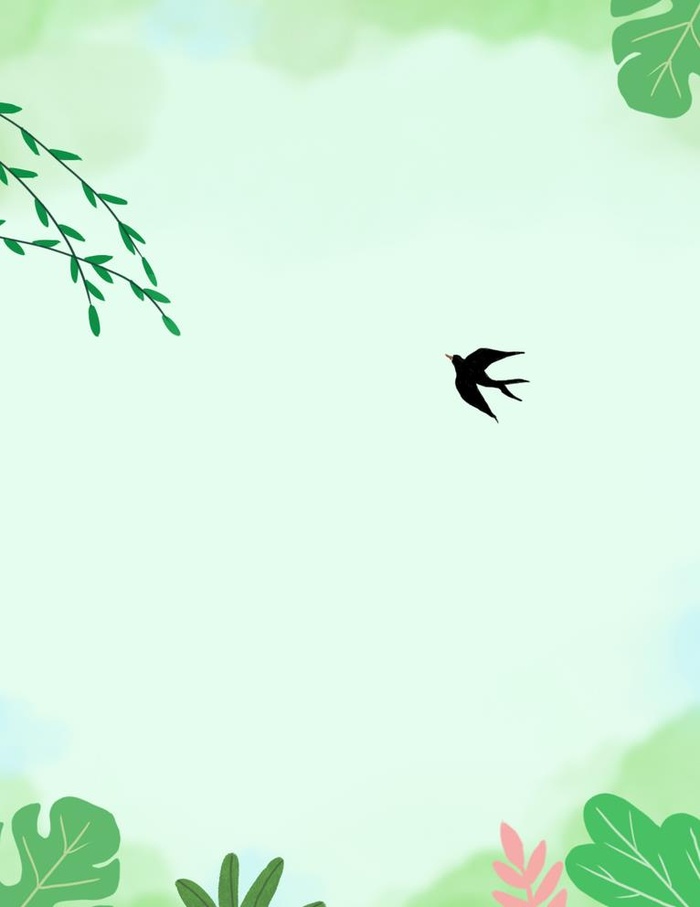 淡绿色背景图片