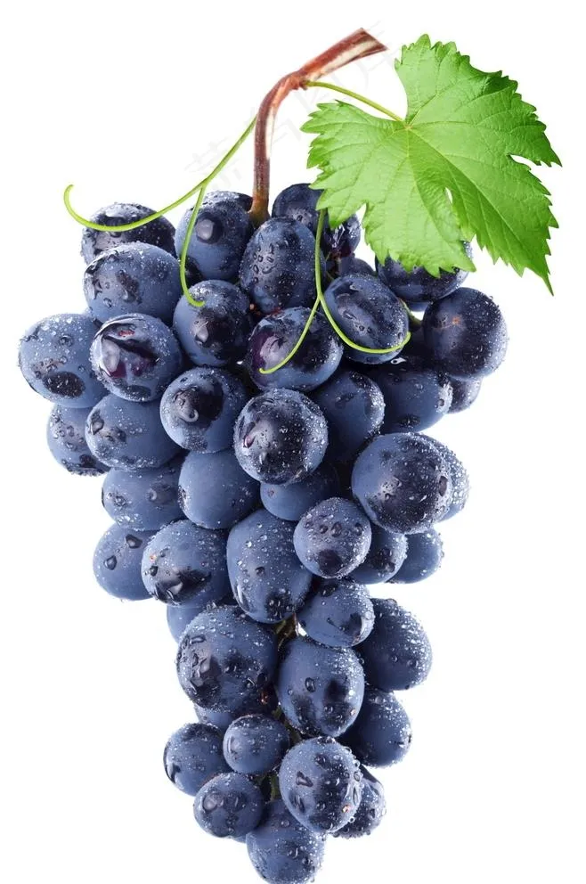 葡萄图片