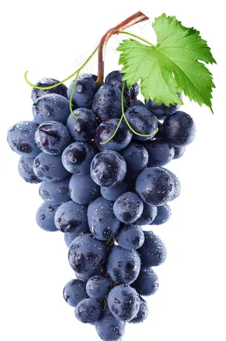 葡萄图片
