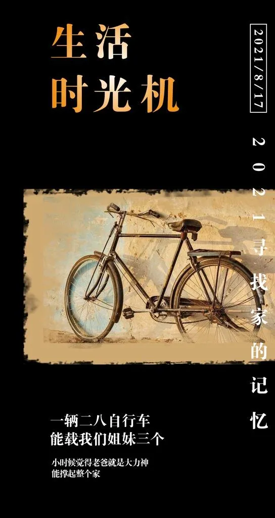 二八大杠图片
