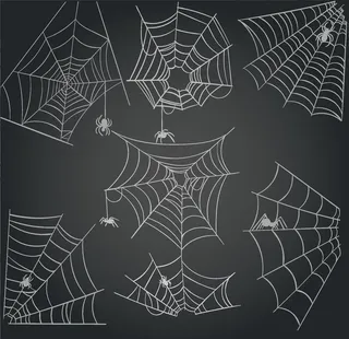 蜘蛛网背景图片