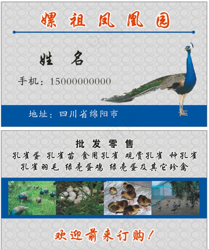 孔雀养殖名片图片cdr矢量模版下载