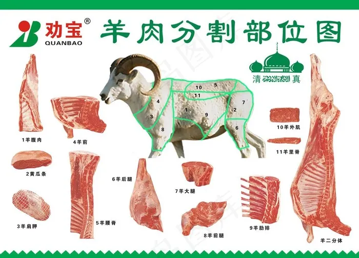 羊肉分割部位图图片(4535x3402)psd模版下载