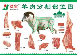 羊肉分割部位图图片