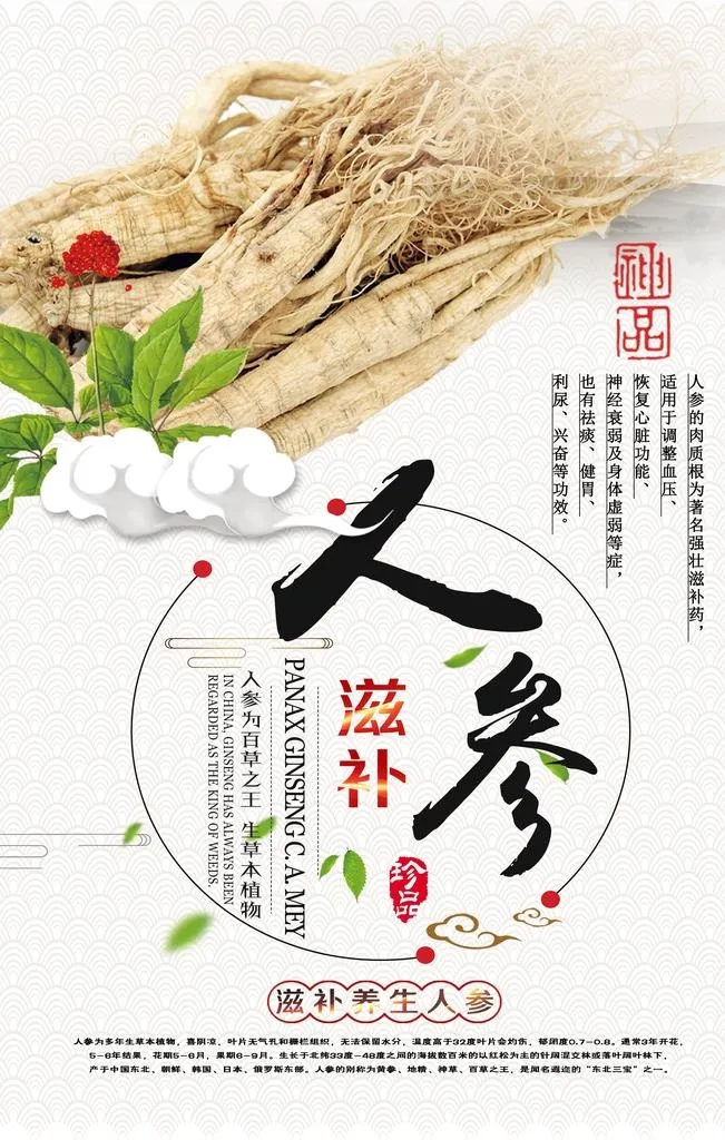 人参海报图片(3150x4724)psd模版下载