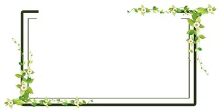 花边边框图片